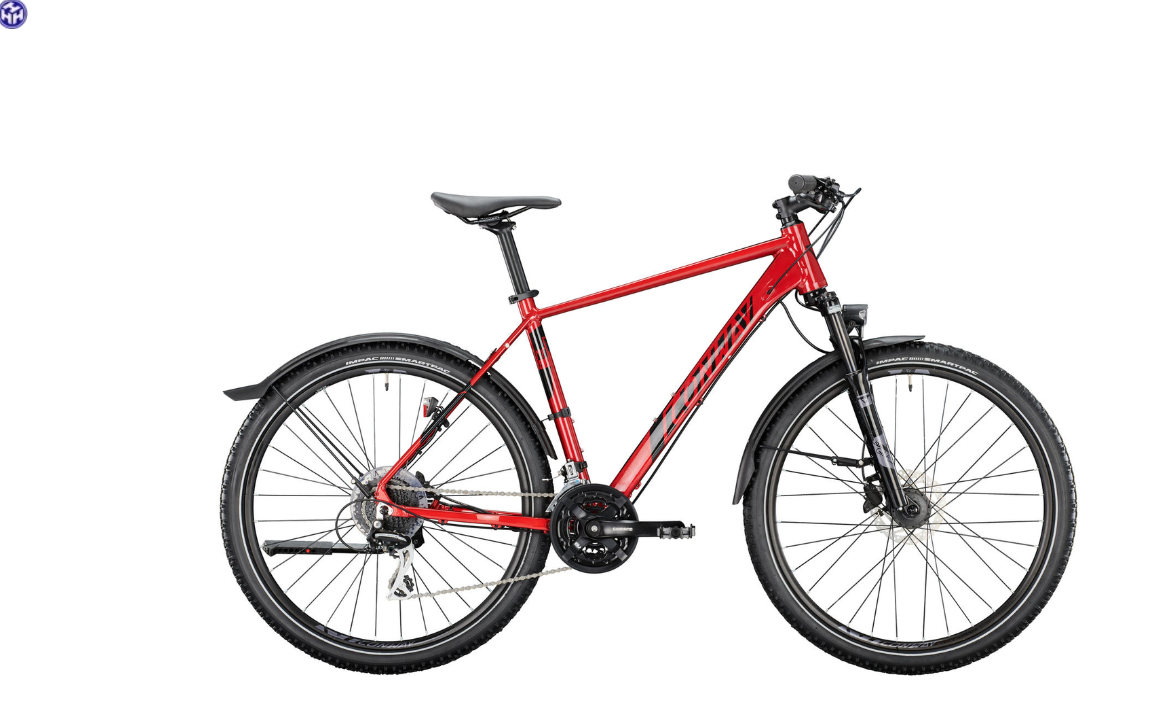 Bild des Rollers XYZ